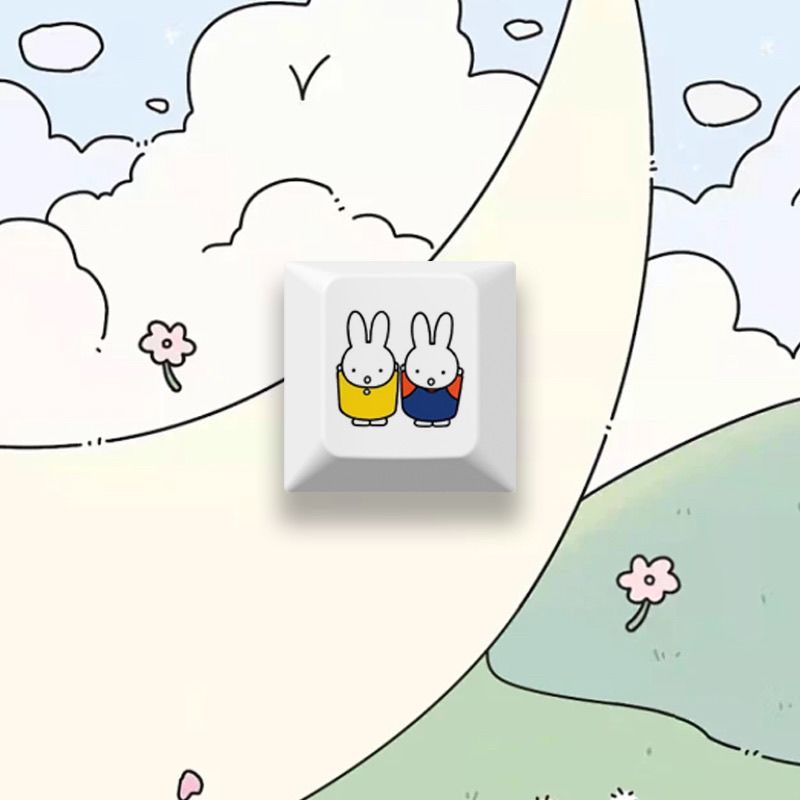 Nouveau keycap Miffy le lapin, - Keyboard Tenkeyless avis et prix